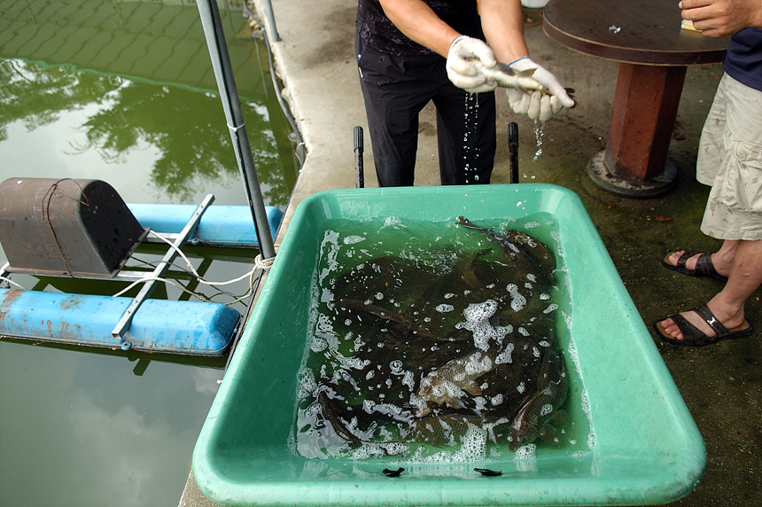 19�� ����