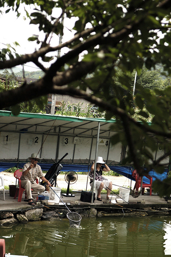 26�� ����