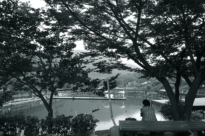 28�� ����