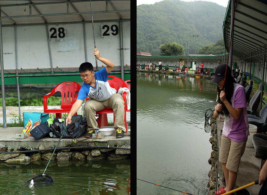 31�� ����