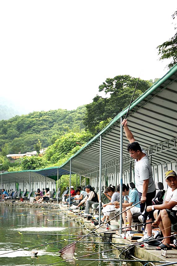 38�� ����