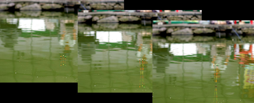 39�� ����