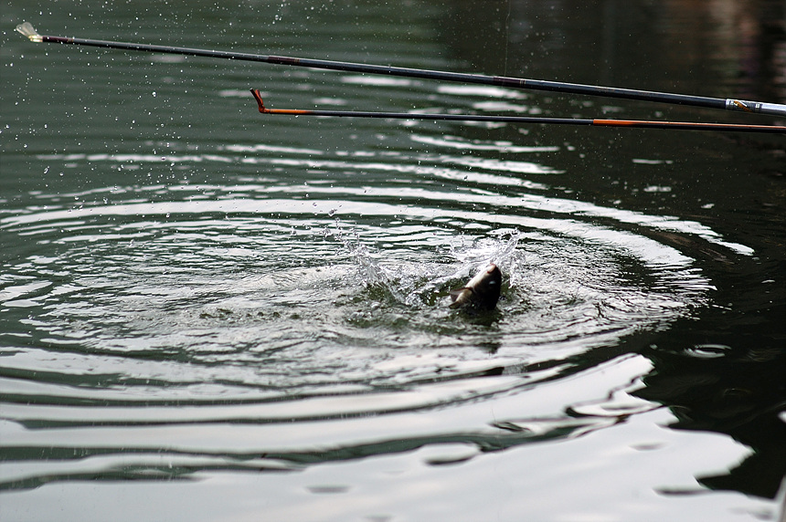 41�� ����