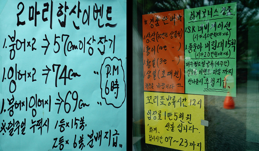 43�� ����