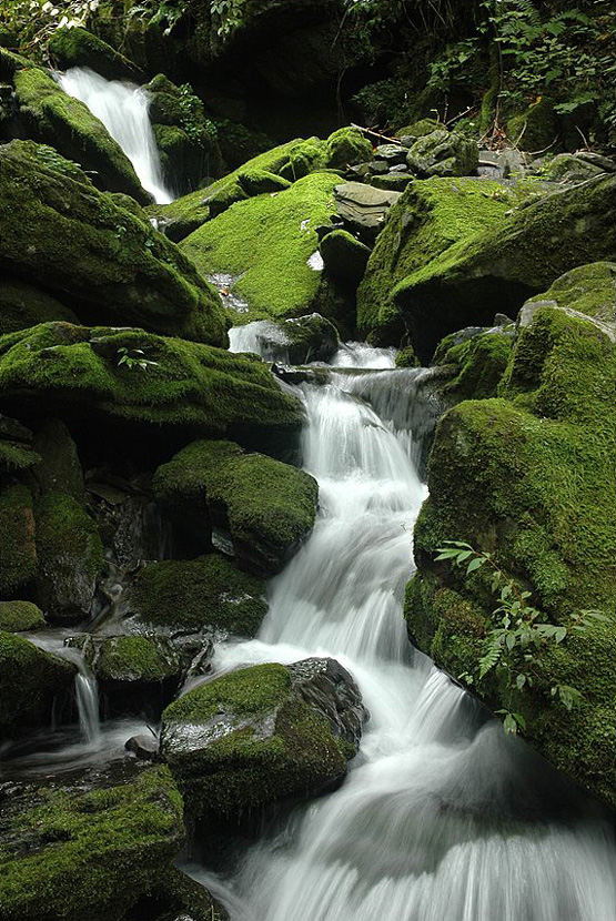 46�� ����