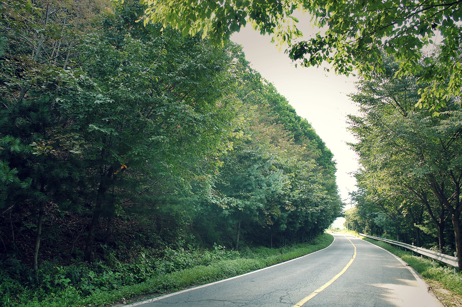 1�� ����