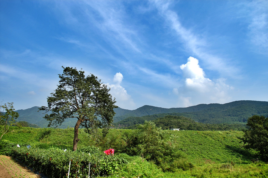 2�� ����