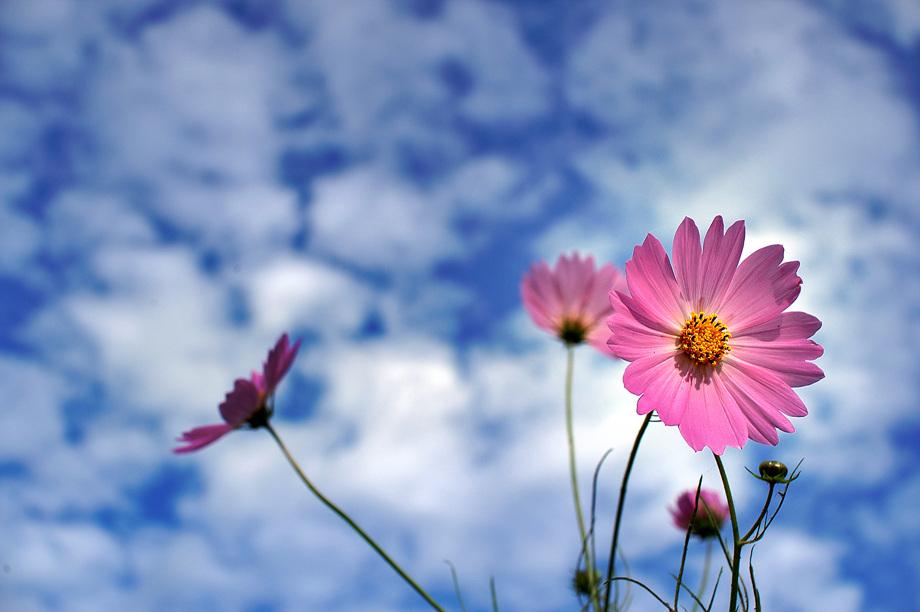 3�� ����