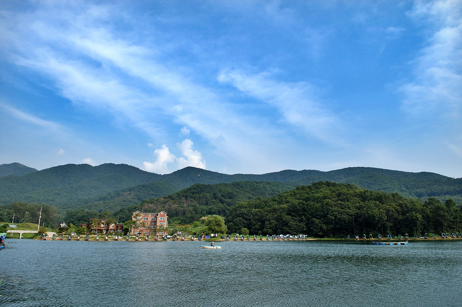 11�� ����