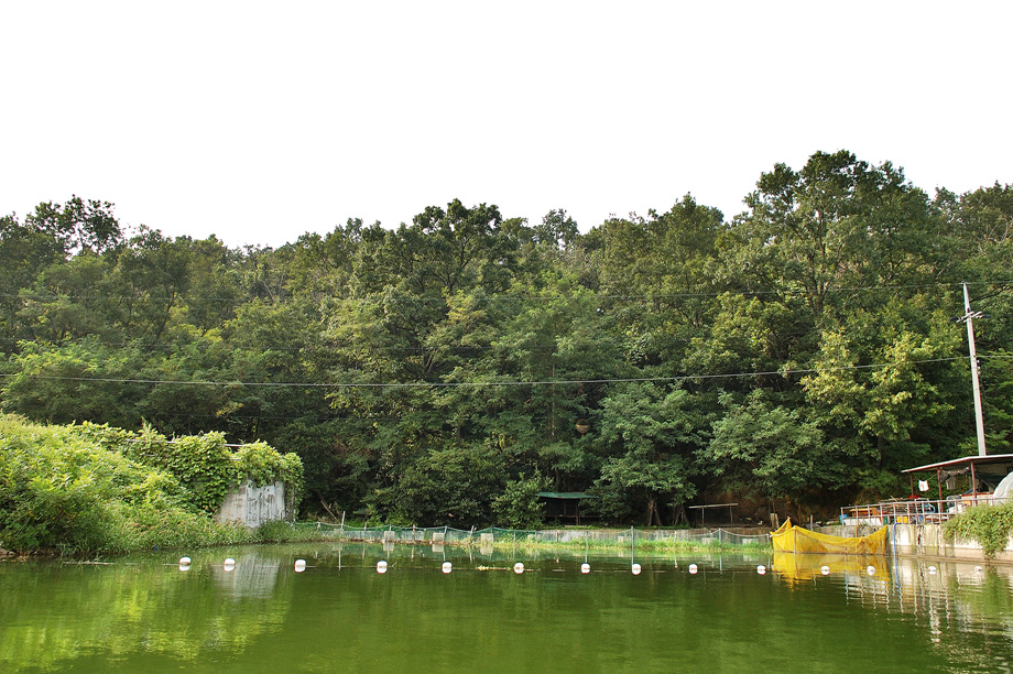 14�� ����