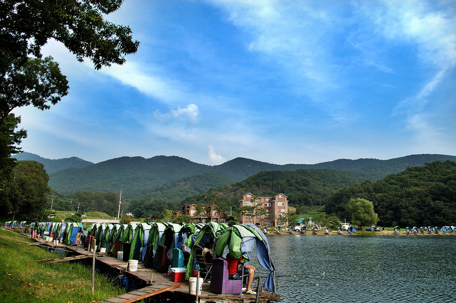 15�� ����