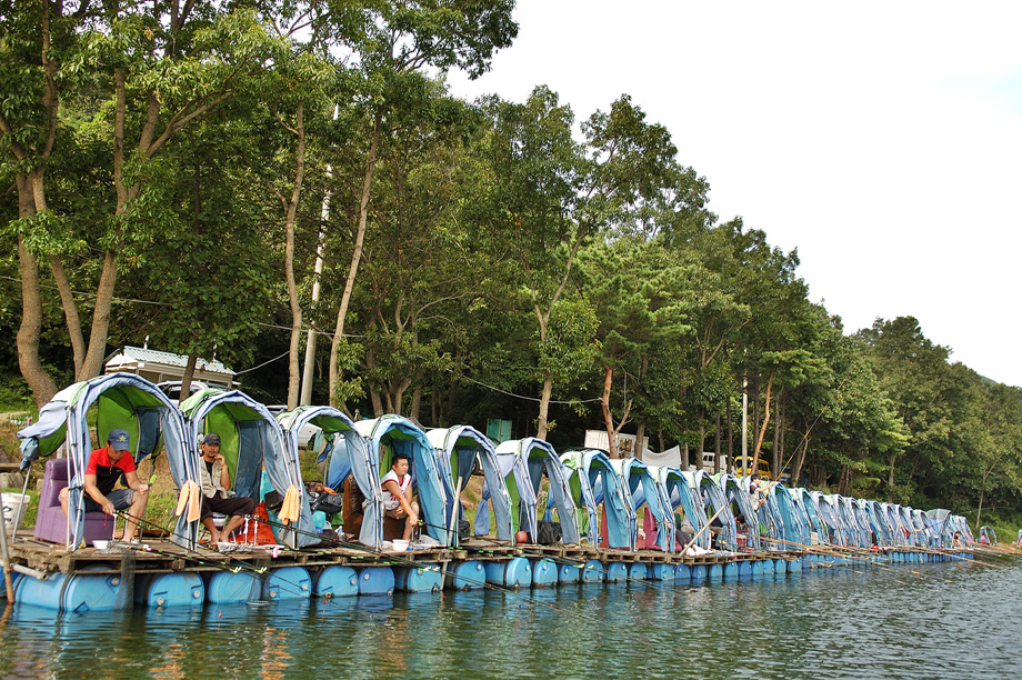 16�� ����