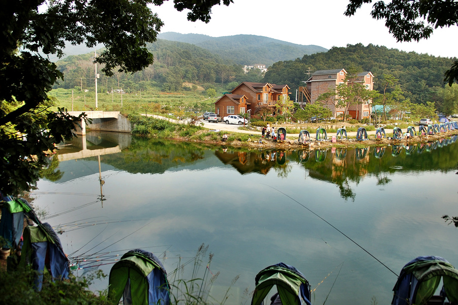 17�� ����