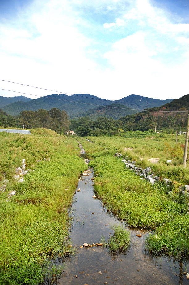 18�� ����