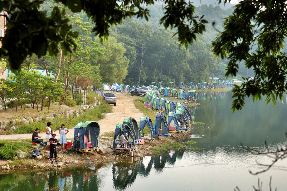 19�� ����