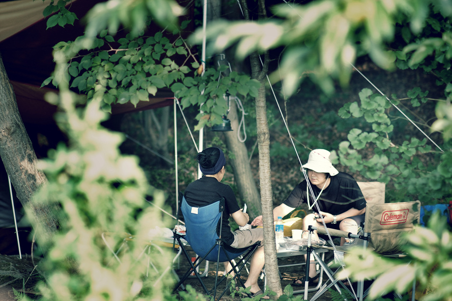 23�� ����