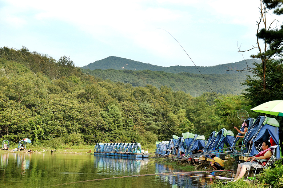 25�� ����