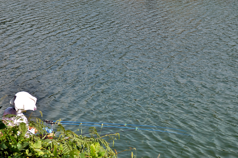 26�� ����