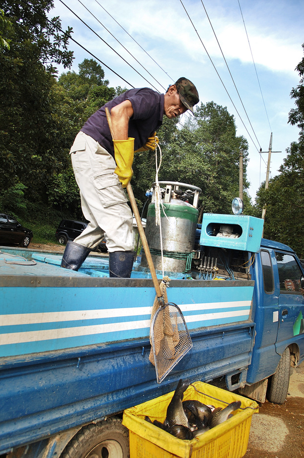 27�� ����