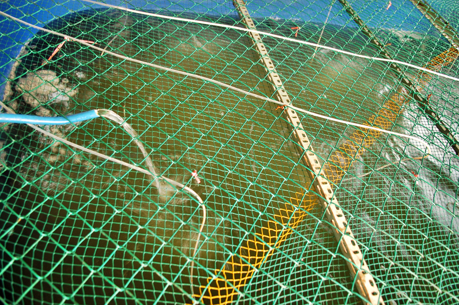 28�� ����