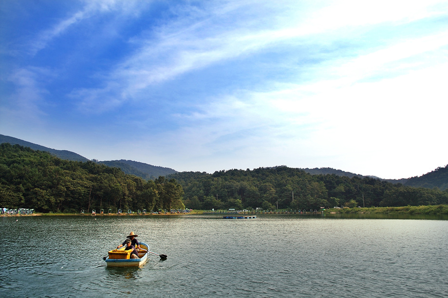 29�� ����