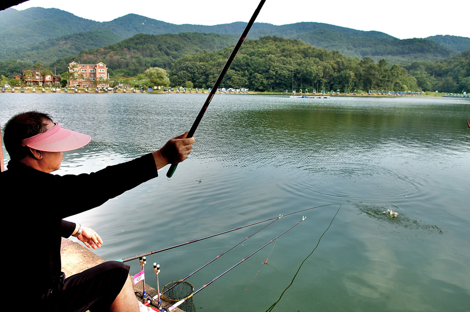 31�� ����