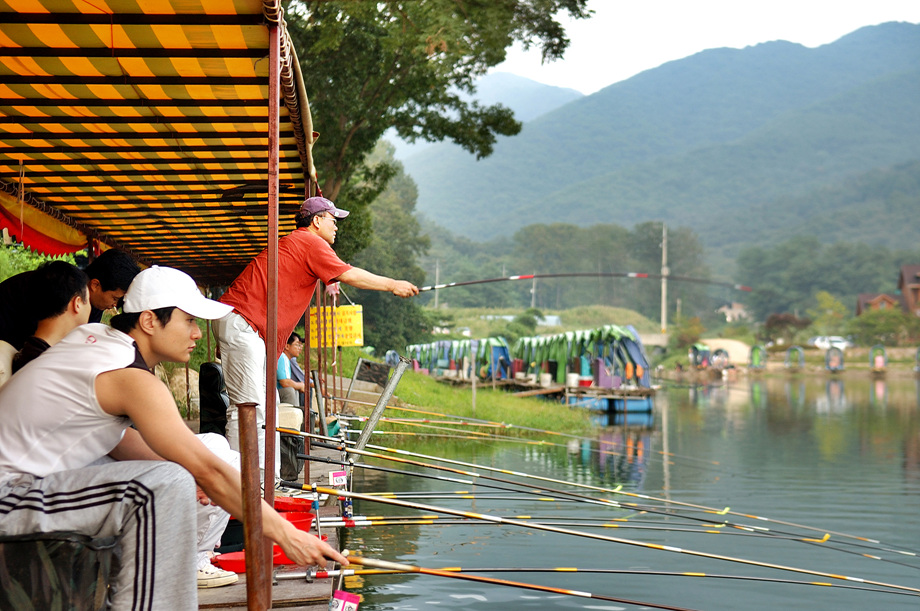 33�� ����