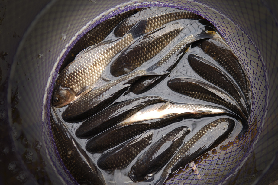 37�� ����