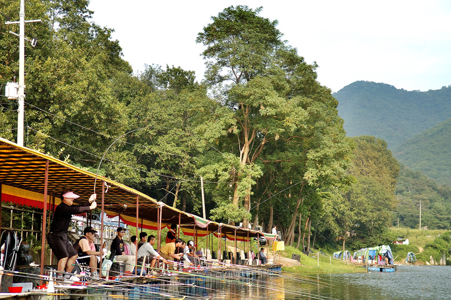 39�� ����