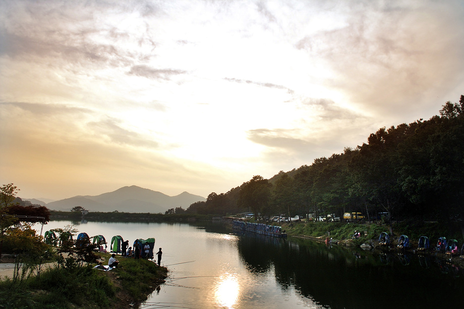 41�� ����