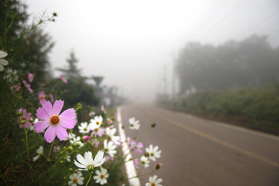 1�� ����