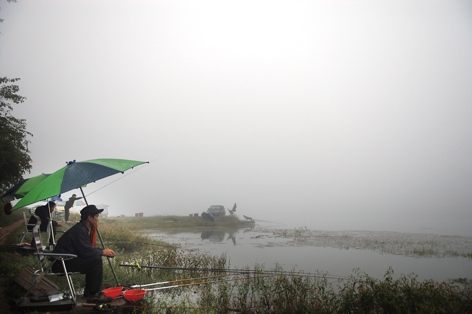 4�� ����