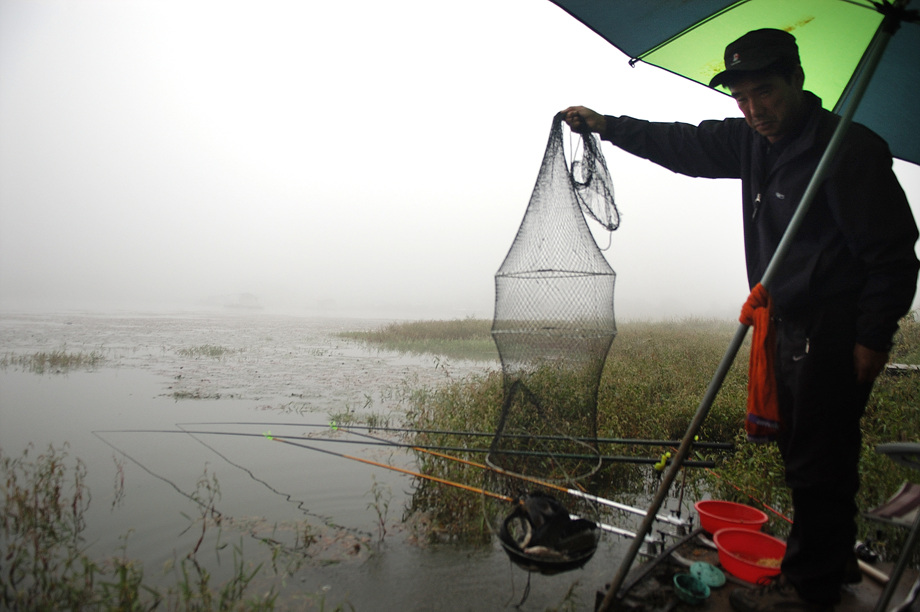 5�� ����