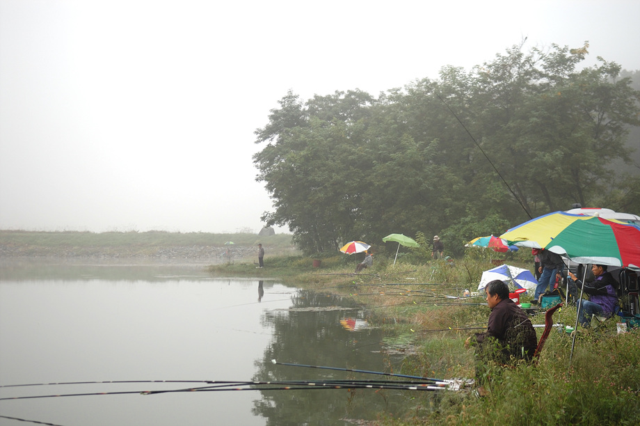 8�� ����