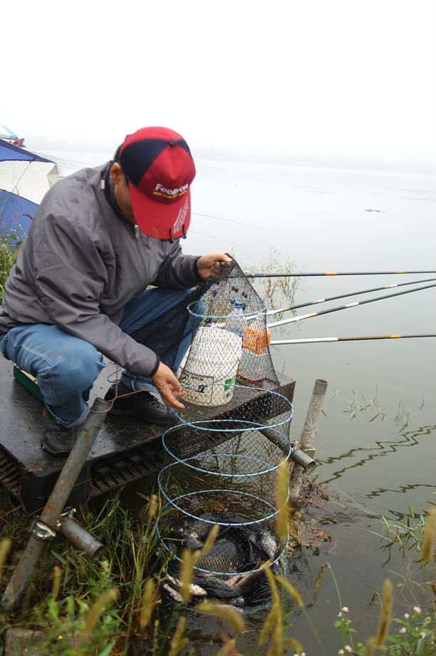 11�� ����