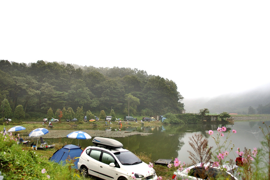 14�� ����