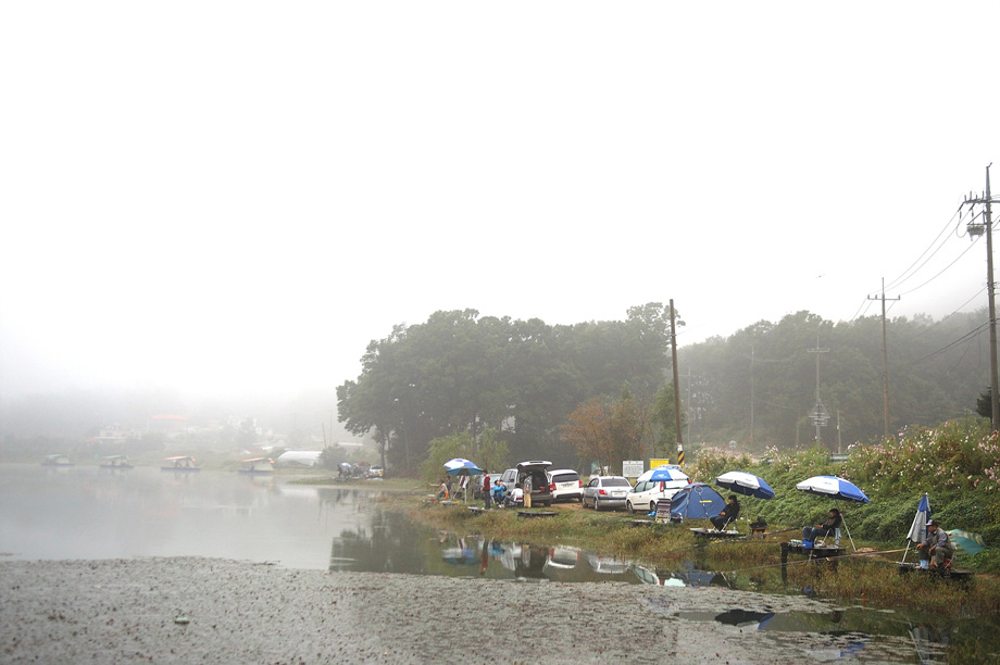 15�� ����