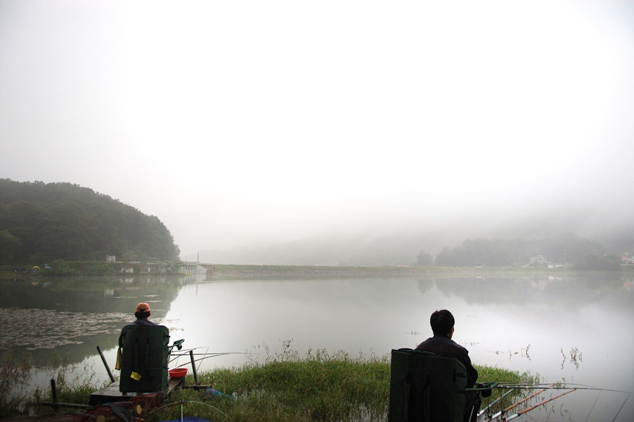 17�� ����