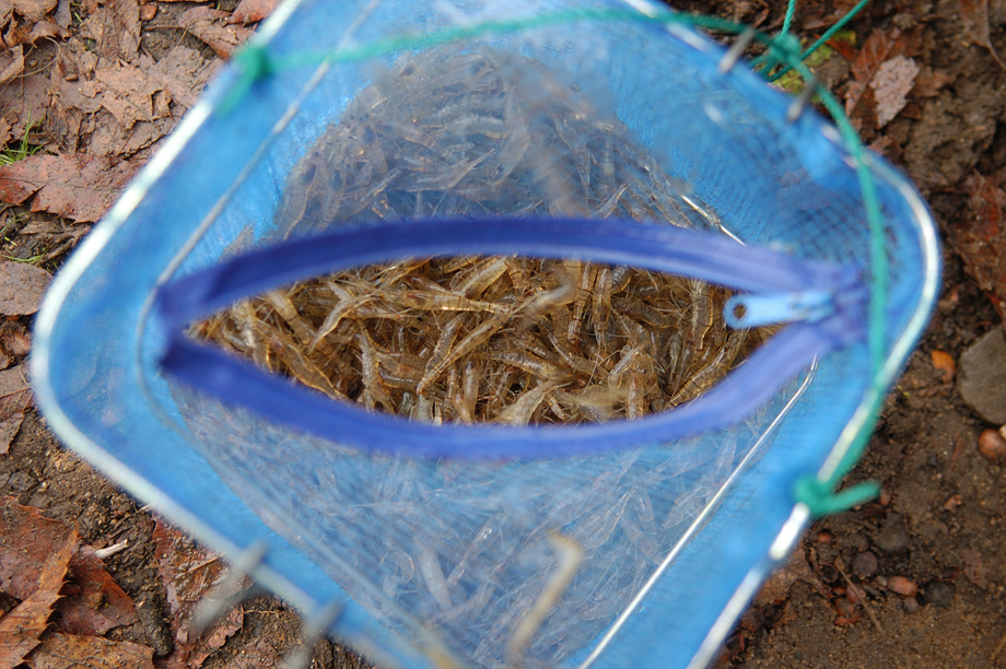 19�� ����