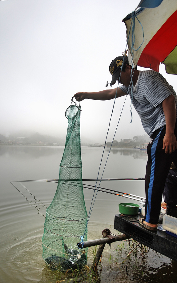 20�� ����