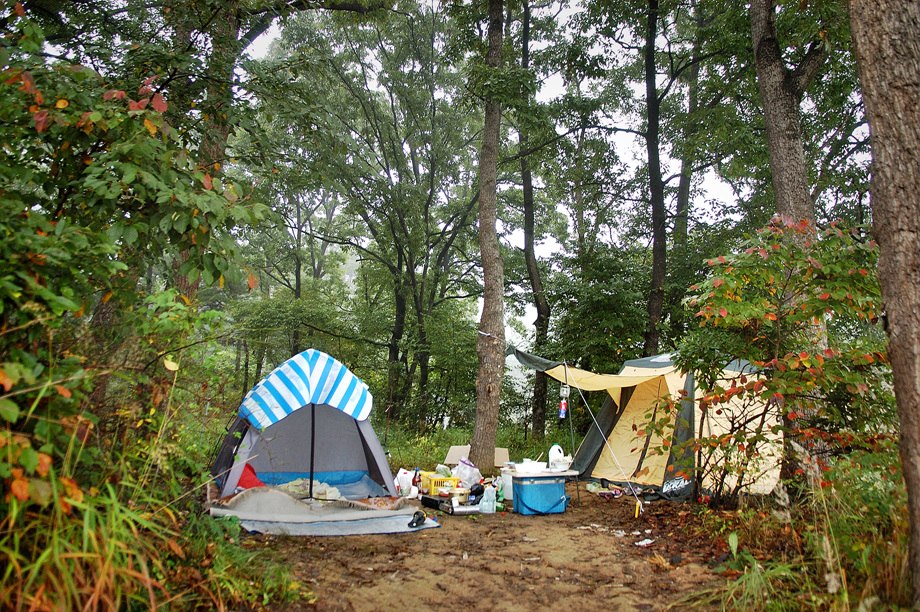 21�� ����