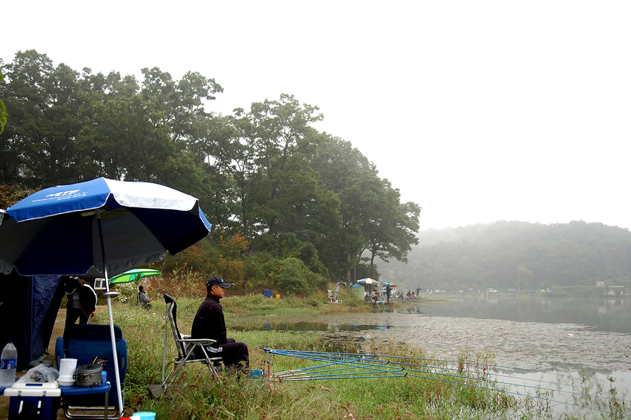 22�� ����