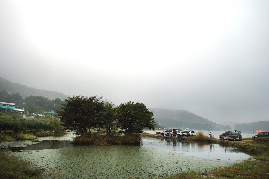 28�� ����