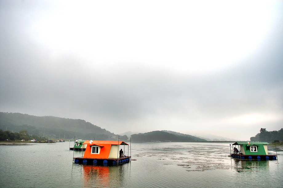 33�� ����