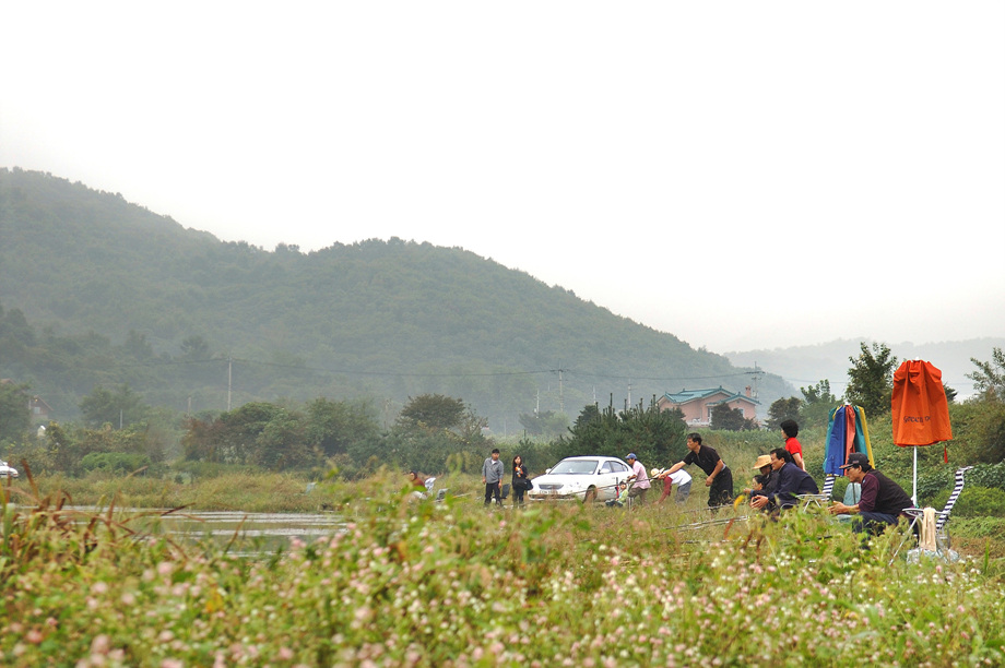 38�� ����