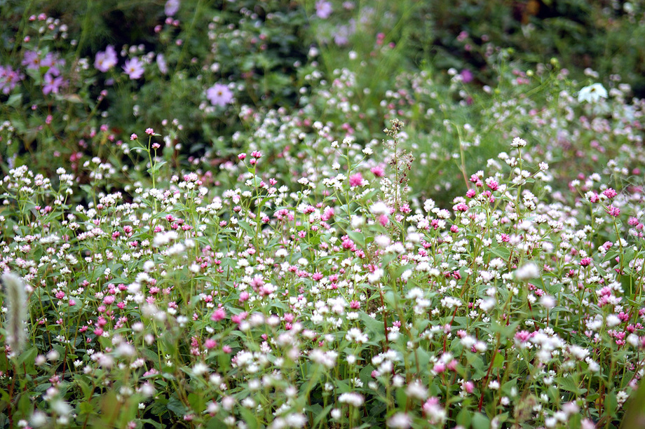 40�� ����