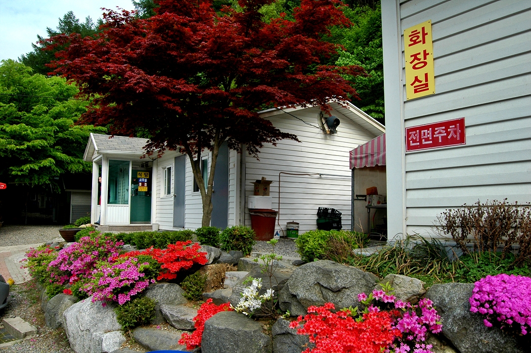 파라프레니아 > 메기,장어터로 거듭나다. : 낚시사랑