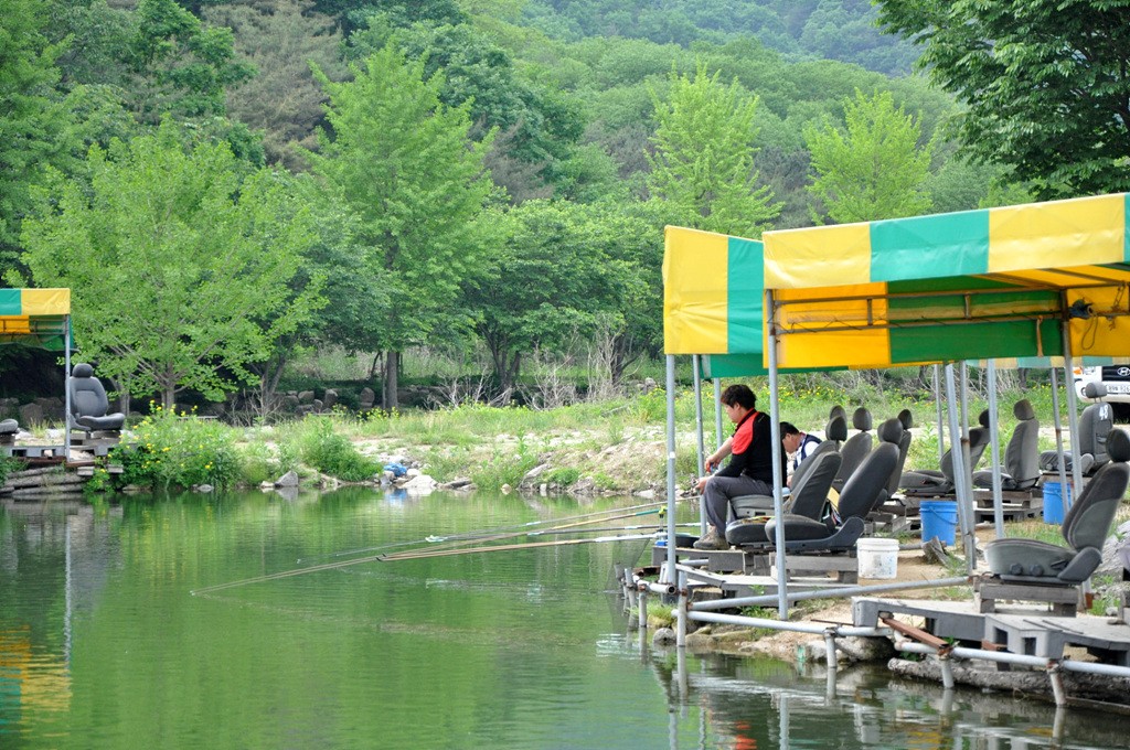 낚시사랑 > 길명낚시터]대물 붕어낚시터!!! 포천의 길명으로 통한다. : 낚시사랑