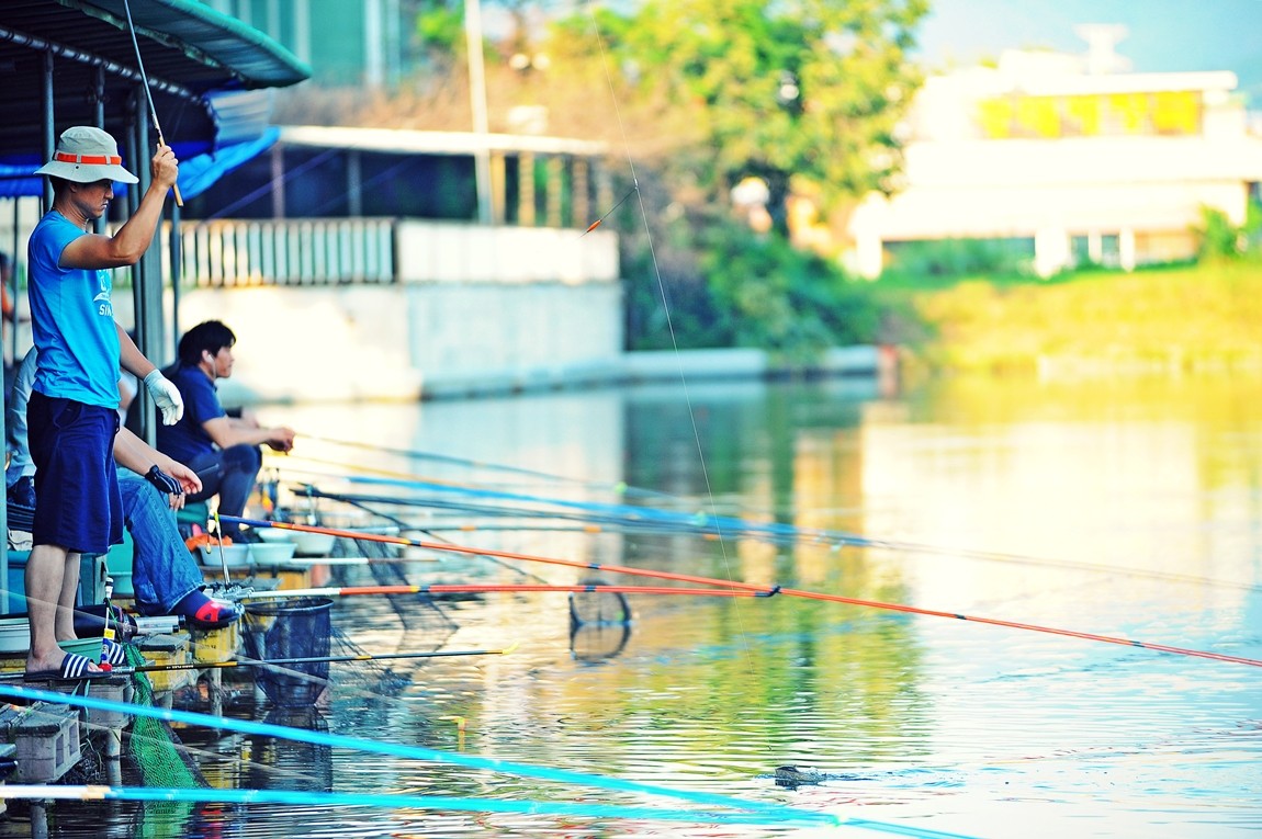 39.JPG