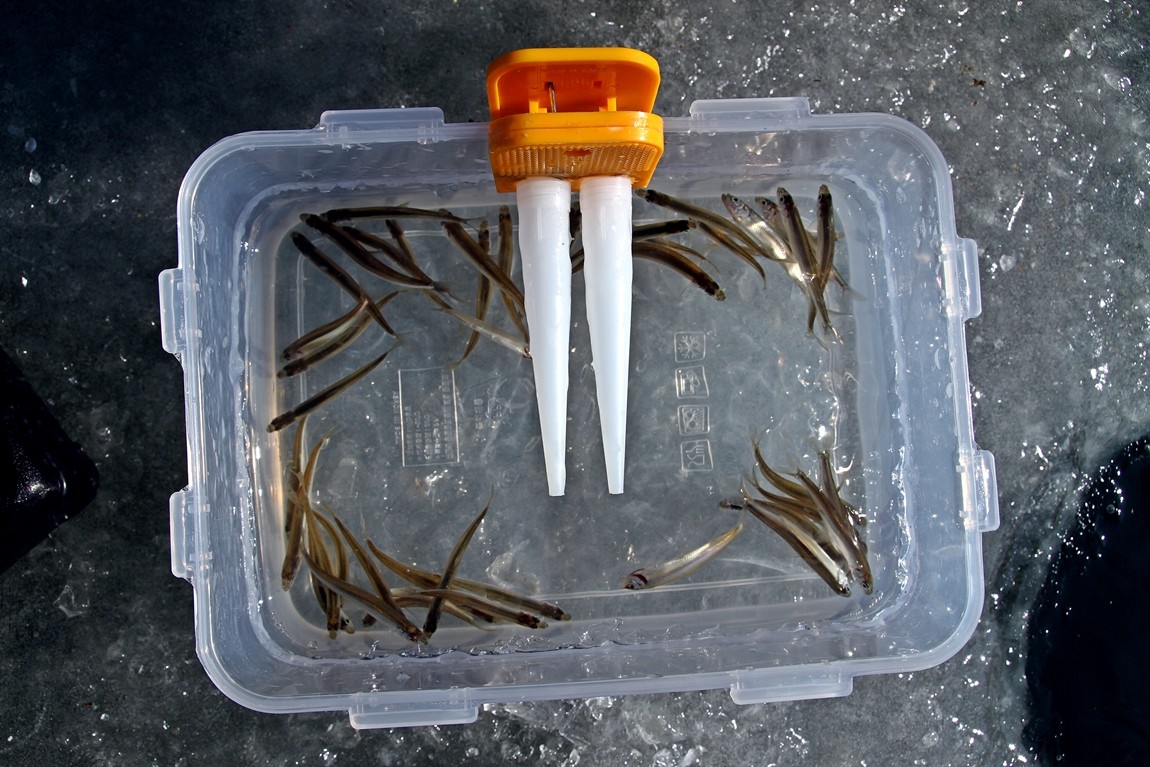 24.JPG